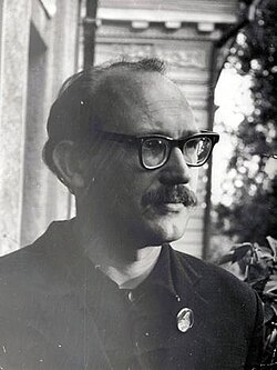 Stelnyuk